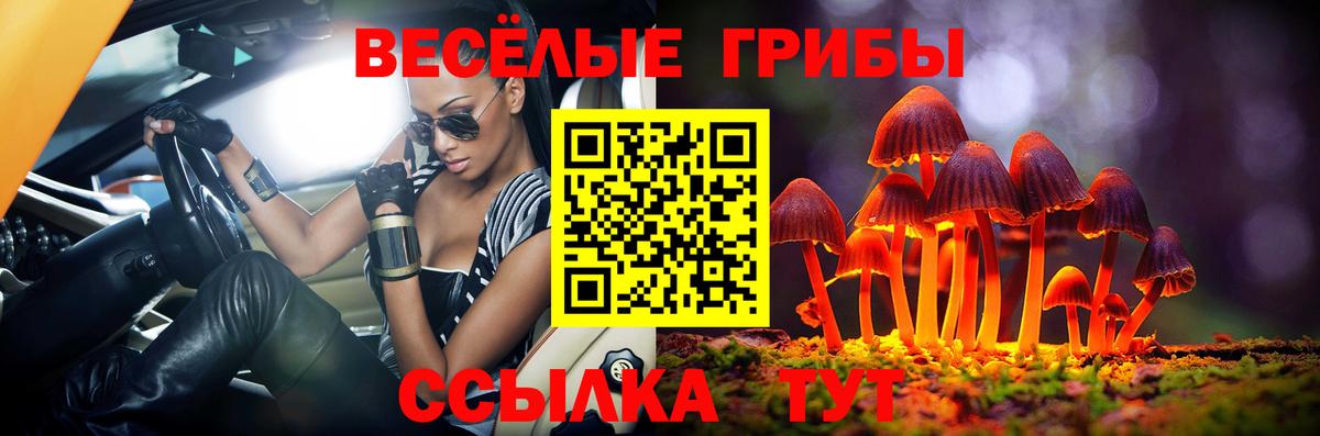 Псилоцибиновые грибы Psilocybe Биробиджан